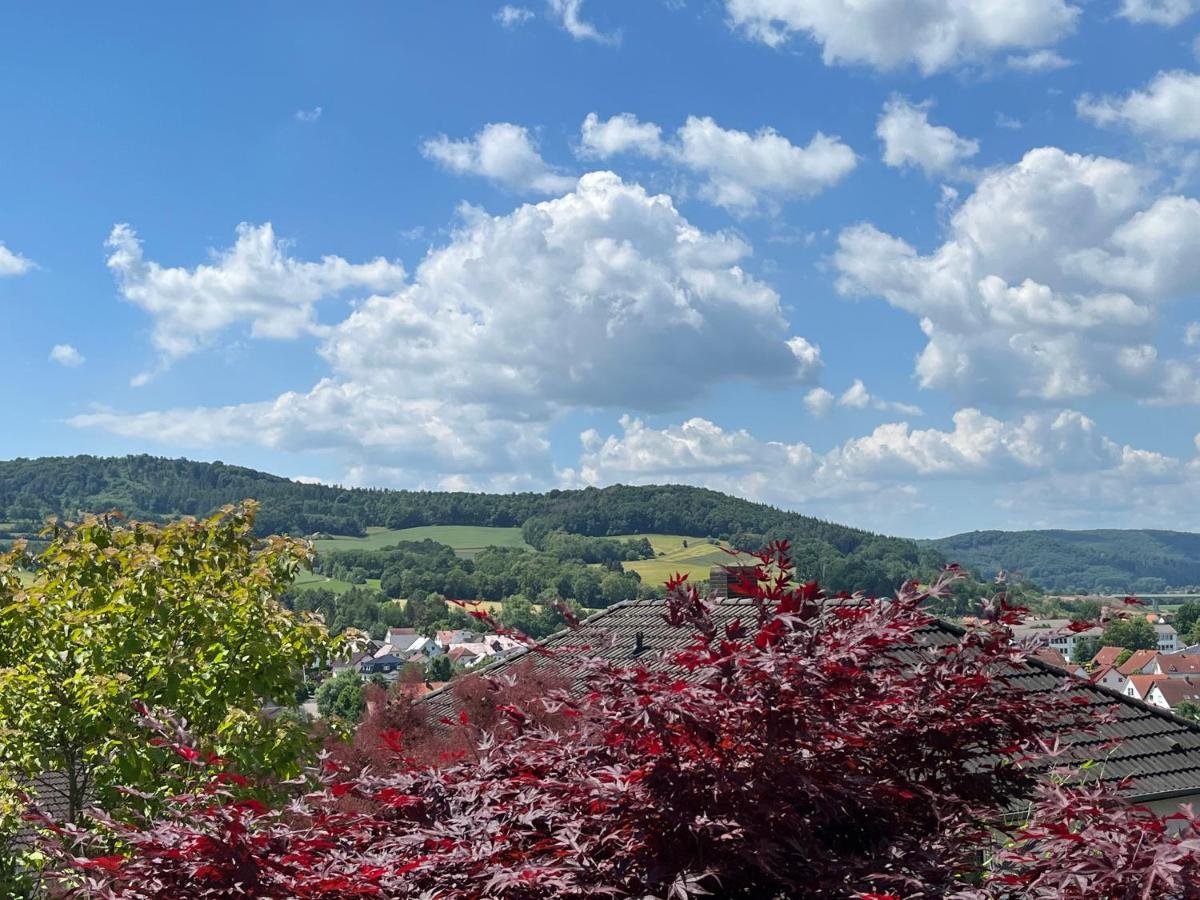 Апартаменты Spitzenbergblick Reichensachsen Экстерьер фото